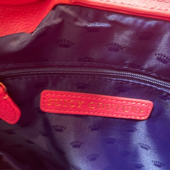 Juicy Couture Vintage Bag, still has tags and in perfect shape - Picture 3 of 5